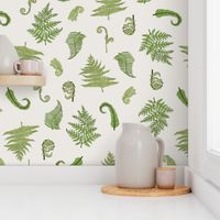 Woodland Ferns-Cream