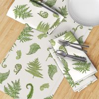 Woodland Ferns-Cream