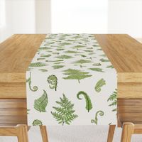 Woodland Ferns-Cream