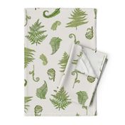 Woodland Ferns-Cream