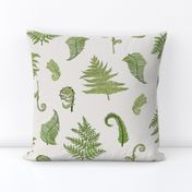 Woodland Ferns-Cream