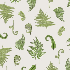 Woodland Ferns-Cream