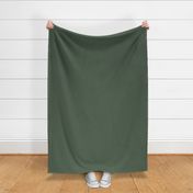 JP17 - Sage Green Solid