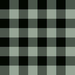 JP17 - Sage Green Buffalo Plaid