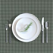 JP17 - Tiny Sage Green Buffalo Plaid