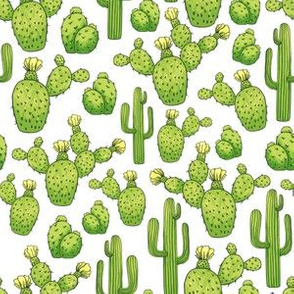 Cinco de Mayo Saguaro Cactus