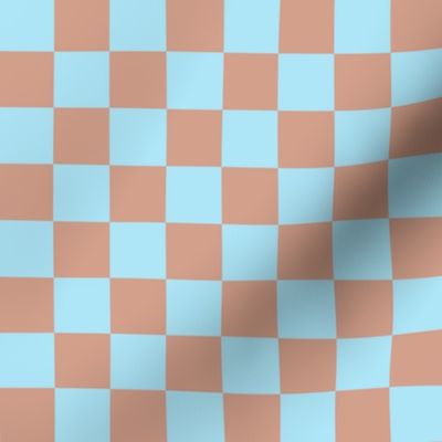JP18 - Large - Checkerboard in One Inch Squares of Sky Blue and Terracotta