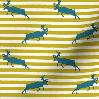 Mustard stripe and Blue Deer