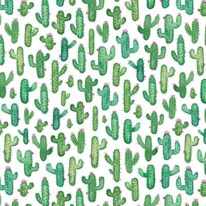 Prickly Watercolour Cacti Smaller