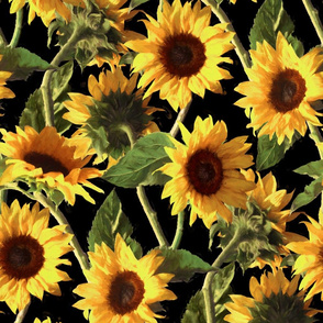 Sunflowers on Black