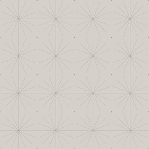 Nineteen Sixty Starburst: Warm Gray Geometric Pattern