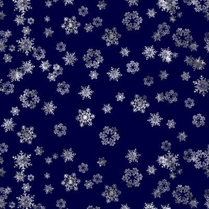 Snowflake Sky- Silver on  Blue night