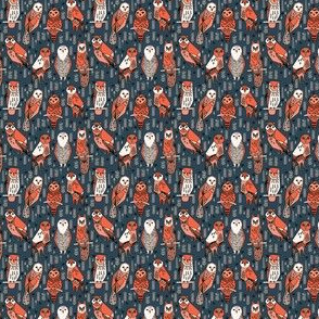 owls // navy blue orange coral hand-drawn illustration by Andrea Lauren