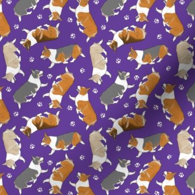 Tiny Trotting Pembroke Welsh Corgis and paw prints - purple