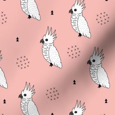 Sweet minimal style cockatoo birds illustration pattern soft pink girls