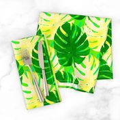 Watercolor green and yellow monstera leaves on light green background