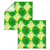 Watercolor green and yellow monstera leaves on light green background