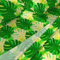 Watercolor green and yellow monstera leaves on light green background