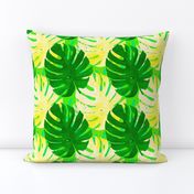 Watercolor green and yellow monstera leaves on light green background