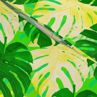 Watercolor green and yellow monstera leaves on light green background