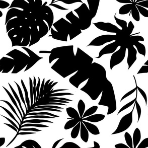 Black And White Palm Leaf 