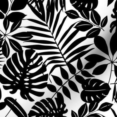 Black And White Tropical Leaf 