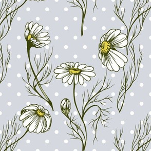 Camomile on a polka dot background