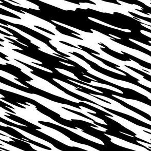 Zebra Stripes_3