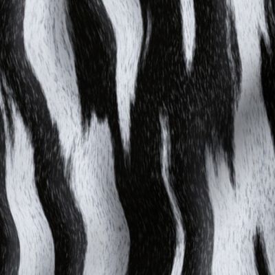 Zebra Stripes_2