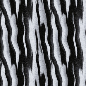 Zebra Stripes_2