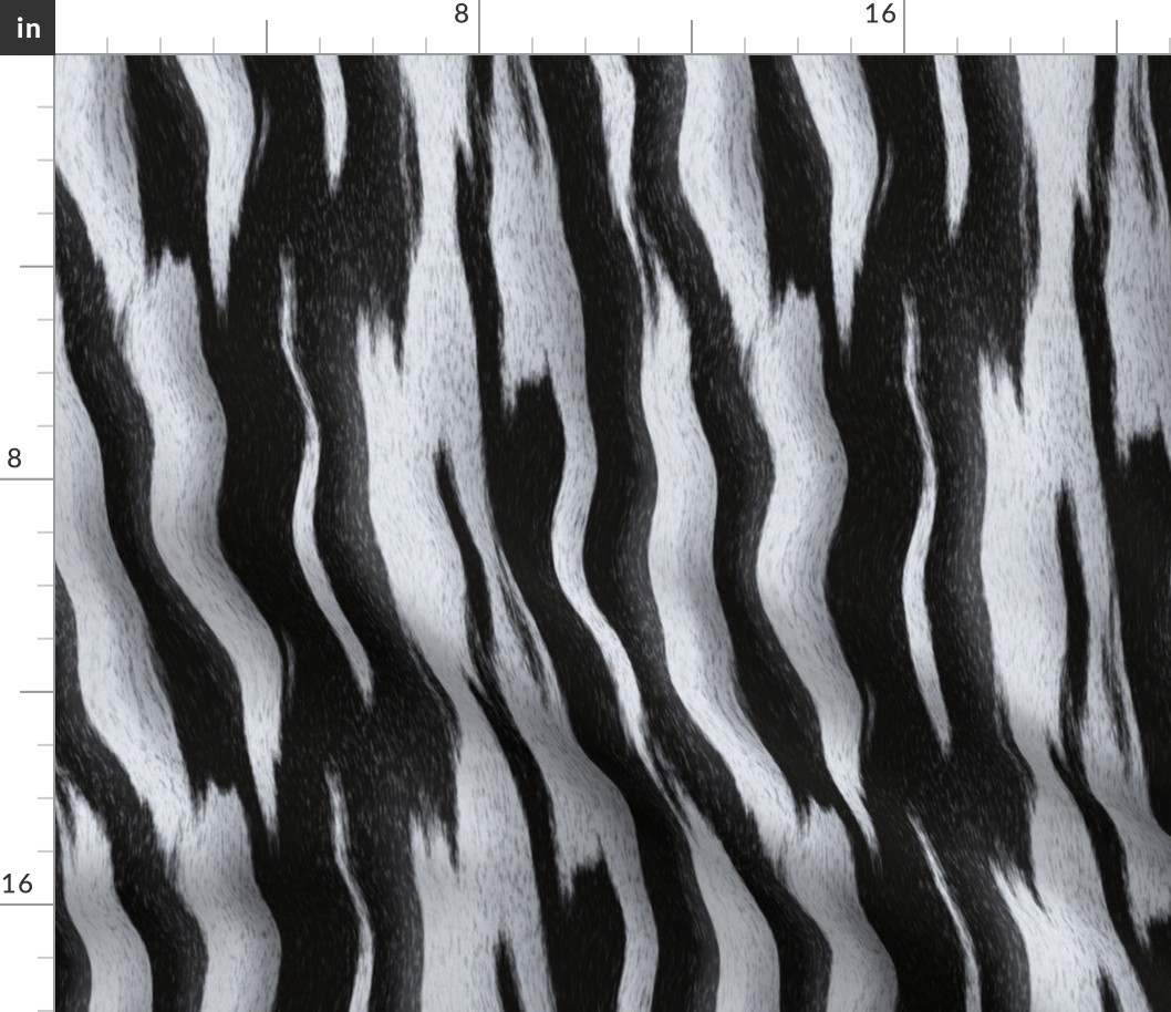 Zebra Stripes_2