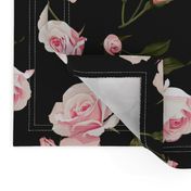 Roses on a black background