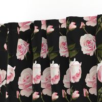 Roses on a black background