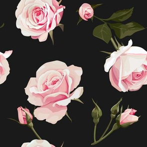 Roses on a black background