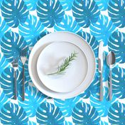 Watercolor blue and turquoise monstera leaves on white background