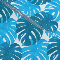 Watercolor blue and turquoise monstera leaves on white background