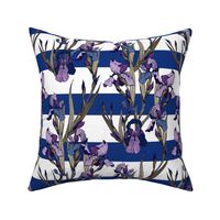 Irises flowers on blue and white stripes