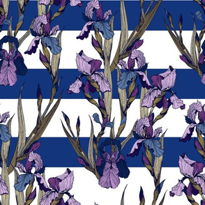 Irises flowers on blue and white stripes