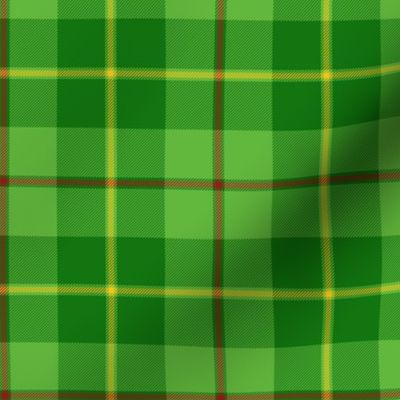 Galloway tartan - 4.25" bright, yellow line