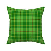 Galloway tartan - 4.25" bright, yellow line