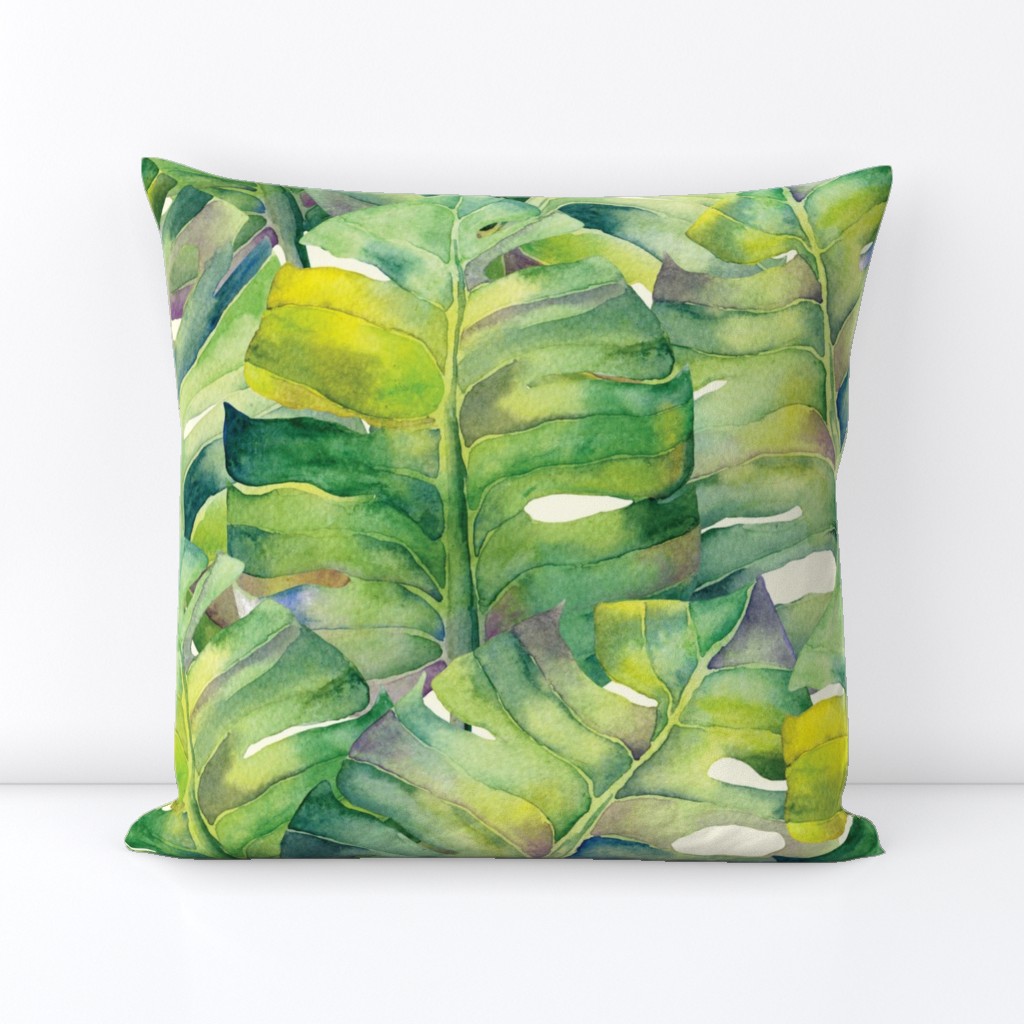 Monstera leaves in green