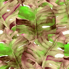 Monstera leaves in green pink