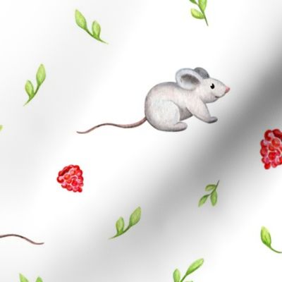 Rasberries and Mouse 