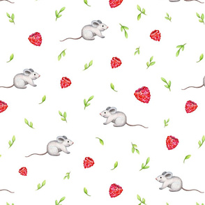 Rasberries and Mouse 