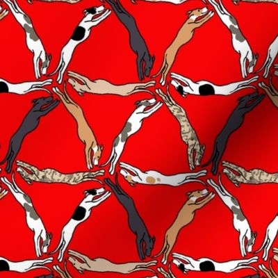 Assorted Triangulating Greyhounds on Red
