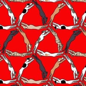 Assorted Triangulating Greyhounds on Red