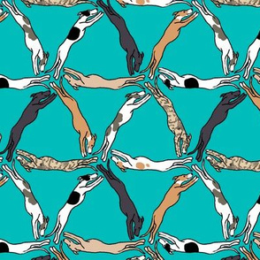 Assorted Triangulating Greyhounds on Teal