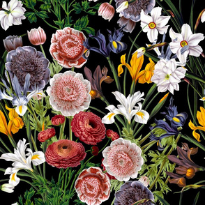 18"  Pierre-Joseph Redouté Moody Florals Iris and Anemone- Mystic Night 31 Vintage home decor, antique wallpaper,