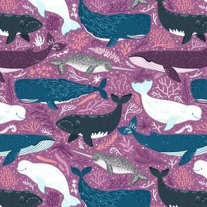 Whales. Purple background.