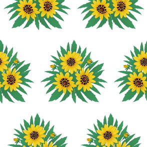 bouquet sunflowers isolated